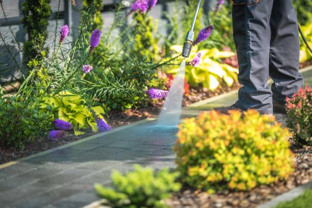 Best Soft Washing  in Grosse Pointe Farms, MI
